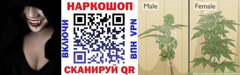 Альфа ПВП Балашов