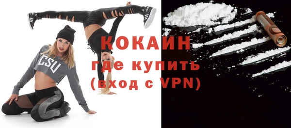 стаф Пестово