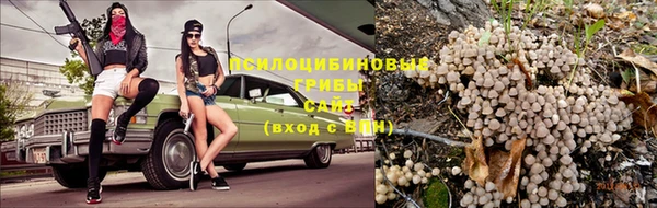 стаф Пестово