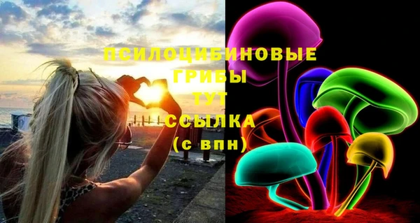 бошки Переславль-Залесский