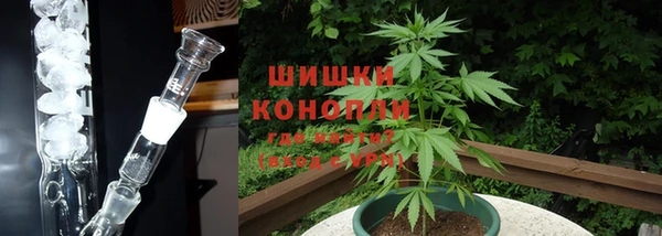стаф Пестово