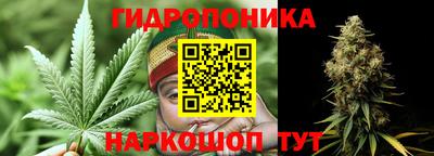 прущие грибы Балашиха