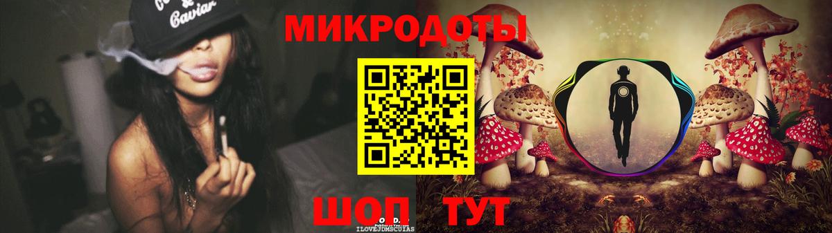 Псилоцибиновые грибы Cubensis Балашов